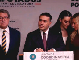 De vergüenza ajena fue el acto que escenificaron las diputadas Gabriela Jiménez Godoy, vicecoordinadora parlamentaria de Morena en la Cámara de Diputados, y Jessica Saiden Quiroz, presidenta de la Comisión de Seguridad Ciudadana; lo mismo que el coordinador parlamentario de este partido, Ricardo Monreal Ávila.