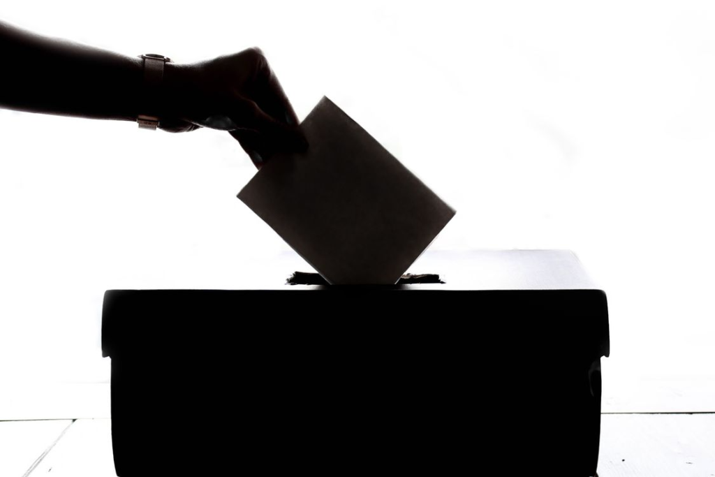 Democracia y reforma electoral. 