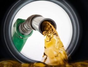 Gasolina